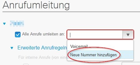 Screenshot: Eingabemaske Alle Anruf umleiten