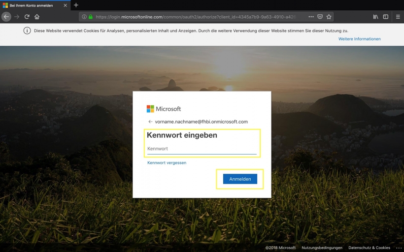 Kennwort im Login-Bereich der Microsoft Office Webseite angeben.