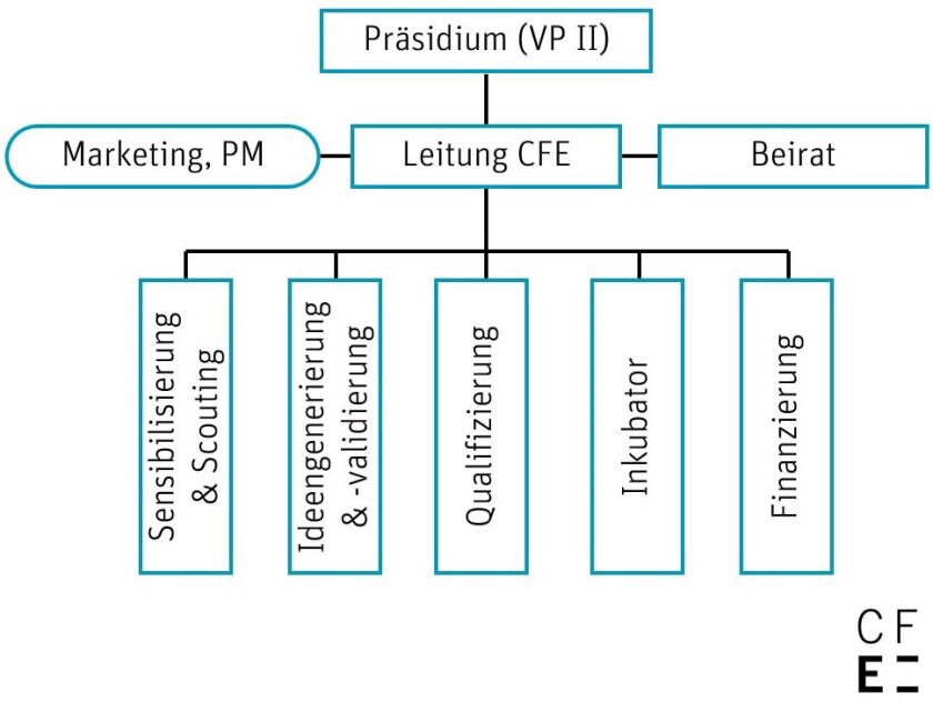 Projektorganisation