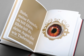 Aufgeschlagenes Buch mit Blick auf umrahmtes Taubenauge