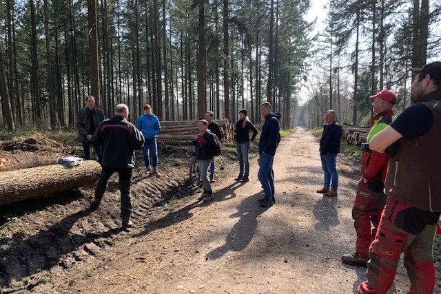 Gruppe im Wald