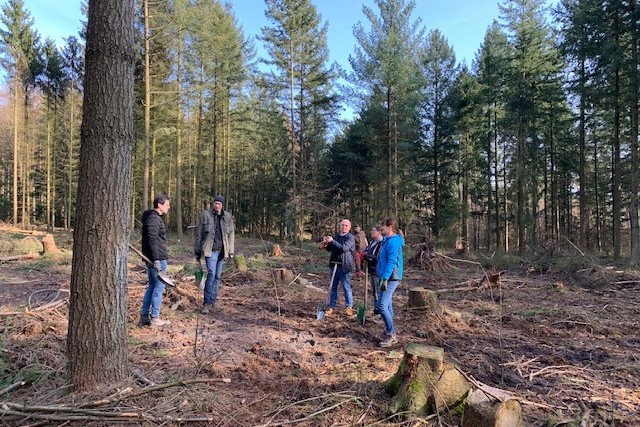 Gruppe im Wald