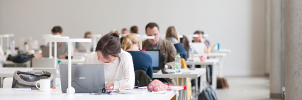 Mehrere Studierende im Lernbereich der Bibliothek.