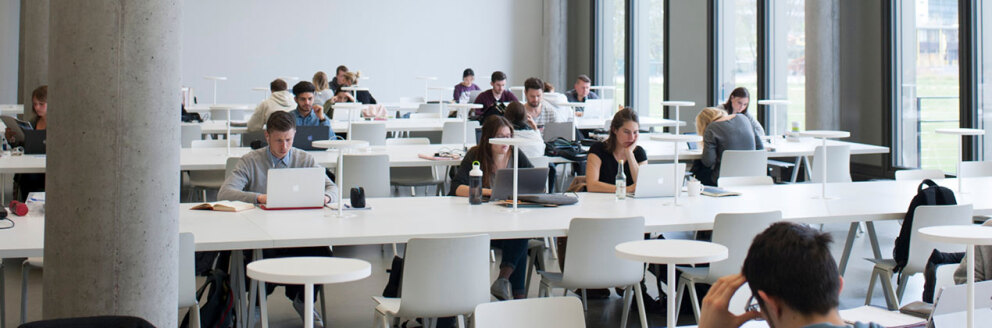 Studierende sitzen in der Bibliothek und arbeiten