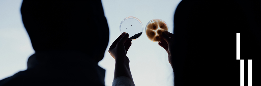 A researcher holds petri dishes